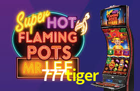 Experimente o Login Seguro Premium no 777tiger